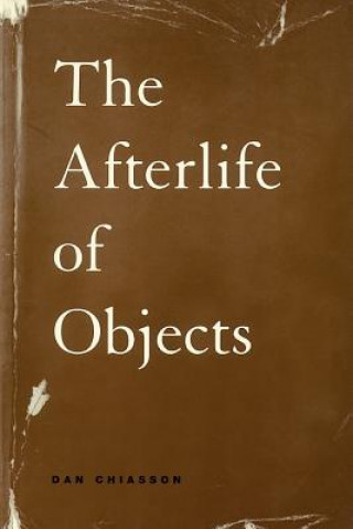 Kniha Afterlife of Objects Dan Chiasson