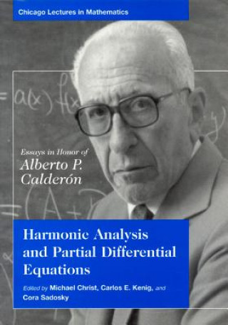 Könyv Harmonic Analysis and Partial Differential Equations Michael Christ