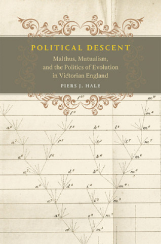 Book Political Descent Piers J. Hale