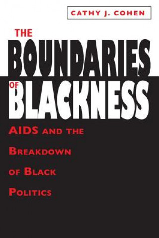 Книга Boundaries of Blackness - AIDS and the Breakdown of Black Politics Cathy Cohen