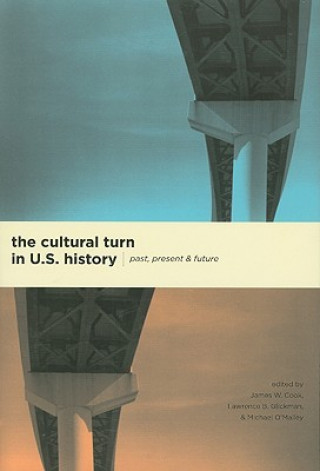 Książka Cultural Turn in U. S. History James W. Cook