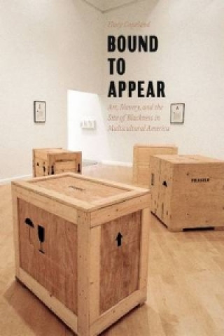 Buch Bound to Appear Huey Copeland