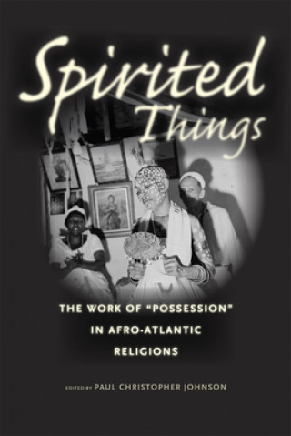 Buch Spirited Things Paul Christopher Johnson