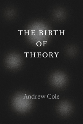 Kniha Birth of Theory Andrew Cole