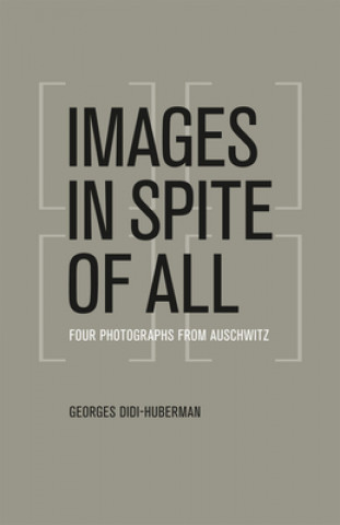 Kniha Images in Spite of All Georges Didi-Huberman