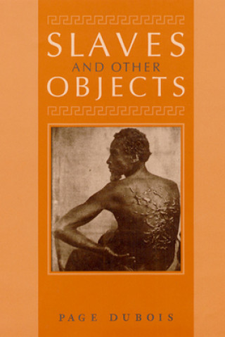 Книга Slaves and Other Objects Page duBois