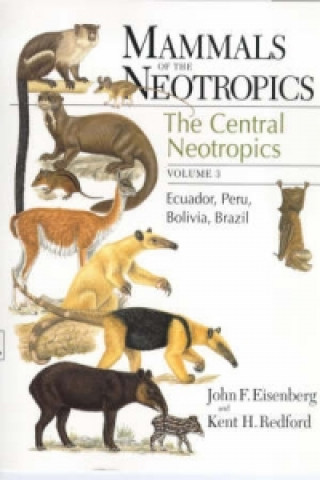 Kniha Mammals of the Neotropics, Volume 3 Kent H. Redford