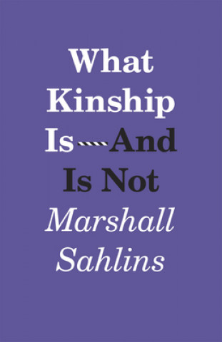Kniha What Kinship Is-And Is Not Marshall Sahlins