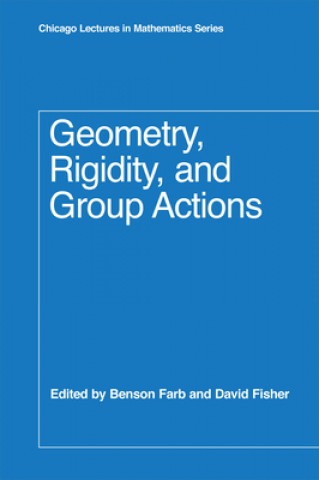 Kniha Geometry, Rigidity, and Group Actions Benson Farb