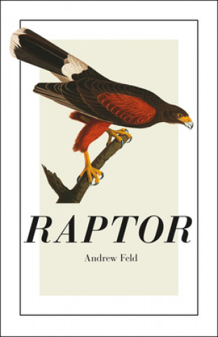 Kniha Raptor Andrew Feld