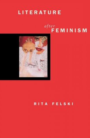Könyv Literature after Feminism Rita Felski