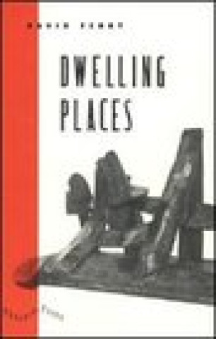 Kniha Dwelling Places David Ferry