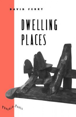 Knjiga Dwelling Places David Ferry