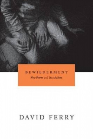 Kniha Bewilderment David Ferry