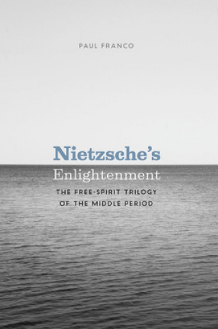 Buch Nietzsche's Enlightenment Franco