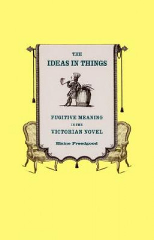 Buch Ideas in Things Elaine Freedgood