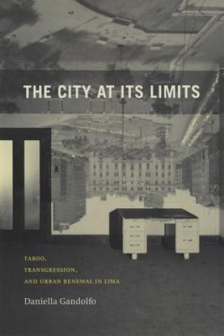 Kniha City at Its Limits Daniella Gandolfo