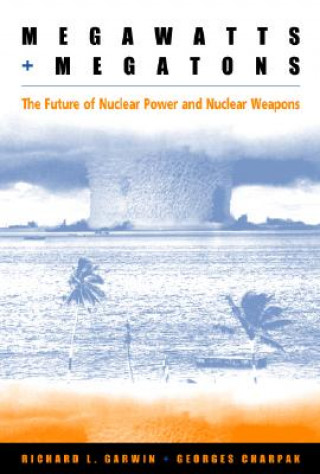 Könyv Megawatts and Megatons Richard Garwin