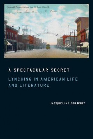 Книга Spectacular Secret Jacqueline Goldsby