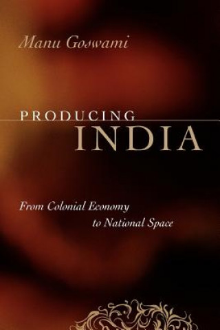 Książka Producing India Manu Goswami