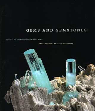 Książka Gems and Gemstones Lance Grande