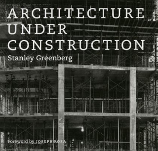 Kniha Architecture Under Construction Stanley Greenberg