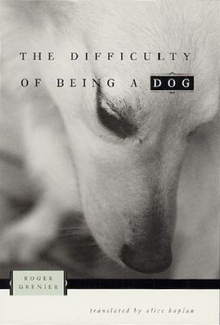 Kniha Difficulty of Being a Dog Roger Grenier