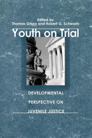 Book Youth on Trial Thomas Grisso