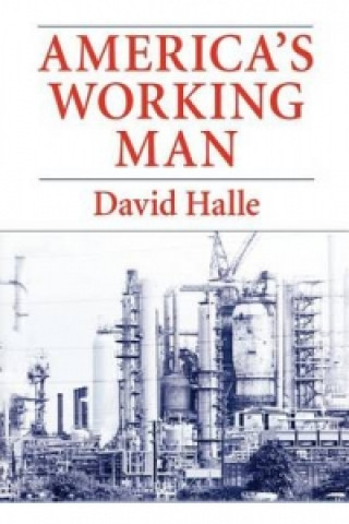 Carte America's Working Man David Halle