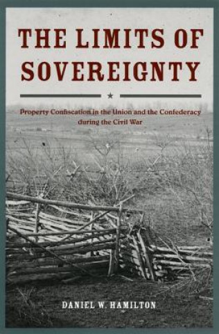 Buch Limits of Sovereignty Daniel W. Hamilton