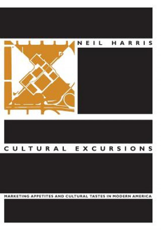 Könyv Cultural Excursions Neil Harris