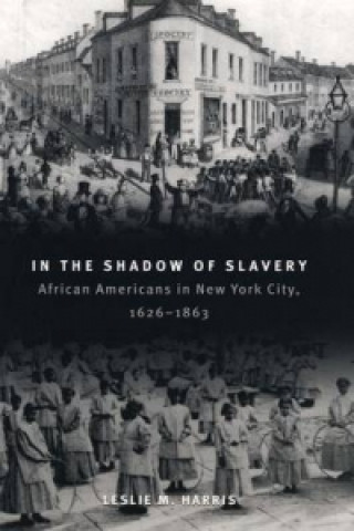 Book In the Shadow of Slavery Leslie M. Harris