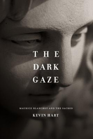 Książka Dark Gaze K. Hart