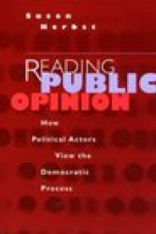 Kniha Reading Public Opinion Susan Herbst