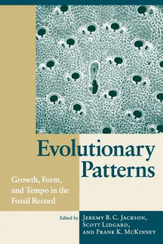 Kniha Evolutionary Patterns Jeremy B.C. Jackson