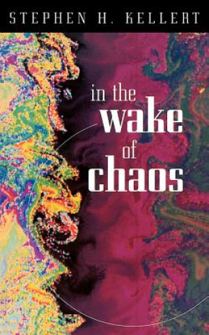 Kniha In the Wake of Chaos Stephen H. Kellert