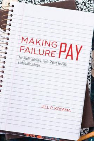 Libro Making Failure Pay Jill Peterson Koyama