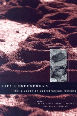 Libro Life Underground Eileen A. Lacey