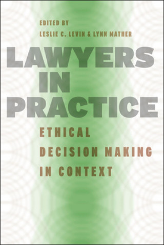 Kniha Lawyers in Practice Leslie C. Levin