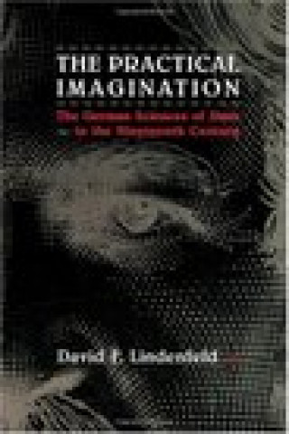 Книга Practical Imagination David F. Lindenfeld