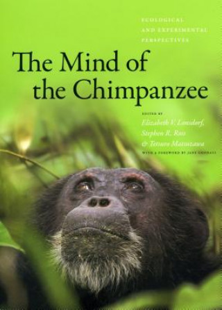 Kniha Mind of the Chimpanzee 
