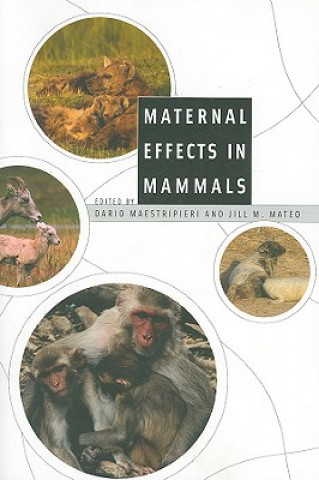 Livre Maternal Effects in Mammals Dario Maestripieri