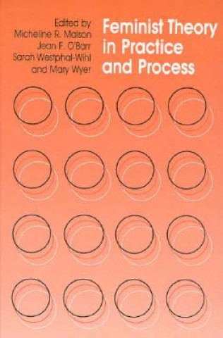 Kniha Feminist Theory in Practice and Process Micheline R. Malson