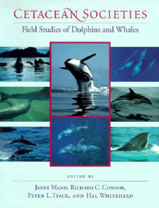 Livre Cetacean Societies Janet Mann