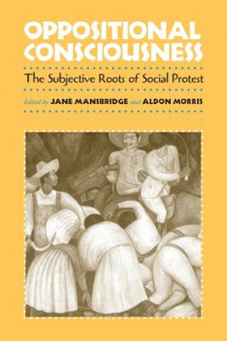 Könyv Oppositional Consciousness Jane J. Mansbridge