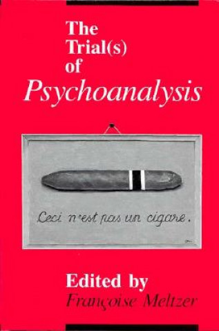 Könyv Trial(s) of Psychoanalysis MELTZER