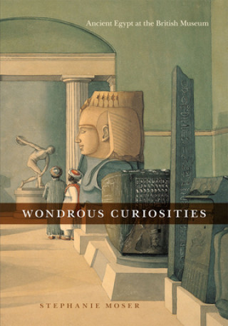 Buch Wondrous Curiosities Stephanie Moser