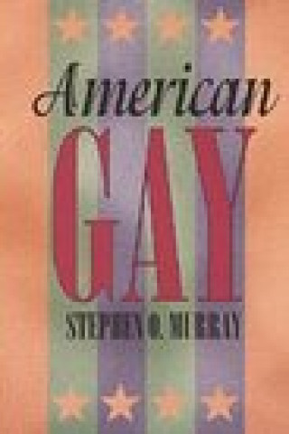 Książka American Gay Stephen O. Murray