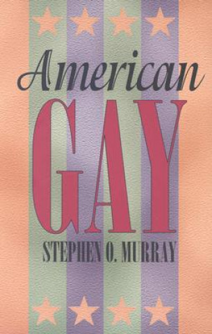 Książka American Gay Stephen O. Murray