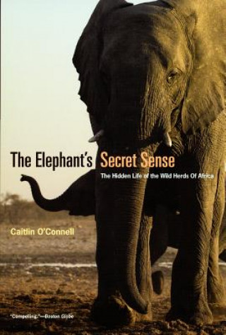 Könyv Elephant`s Secret Sense - The Hidden Life of the Wild Herds of Africa Caitlin O'Connell